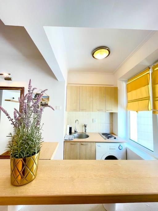 Boutique Apartment In The Bucharest City Center 외부 사진